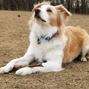 Meet your Posher, Diana